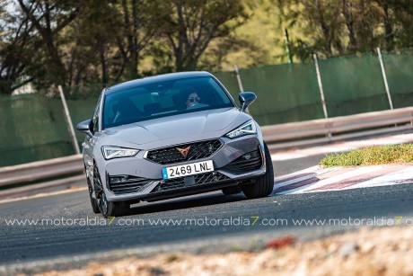 Hibridación para el CUPRA León