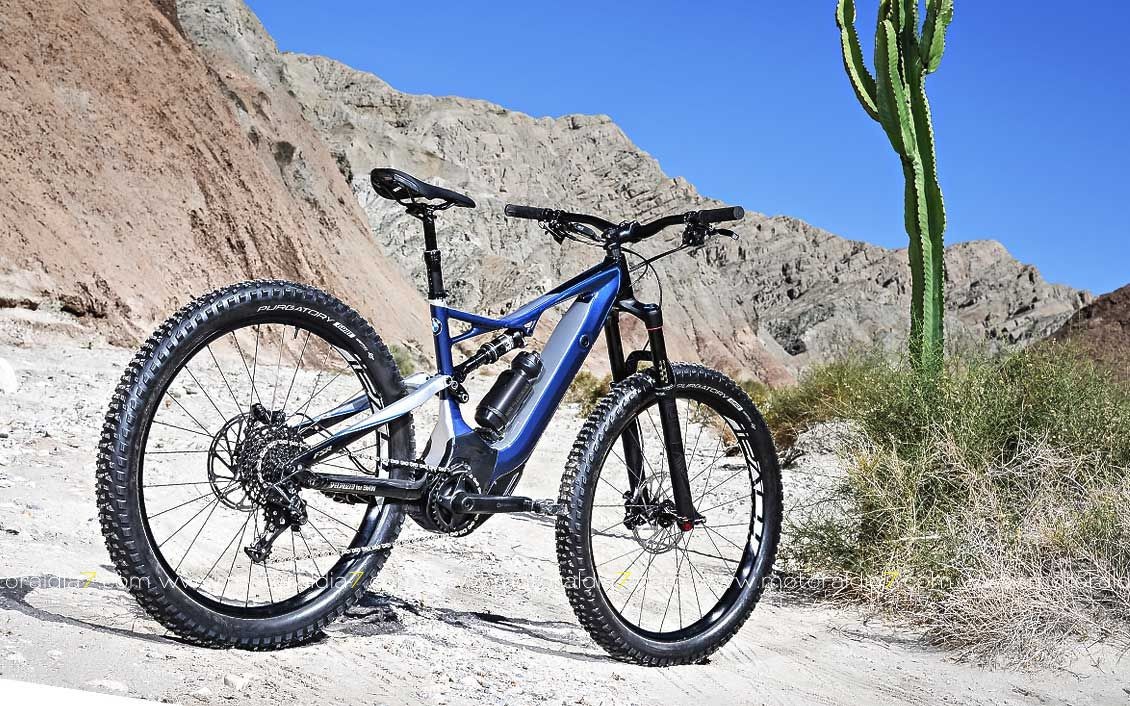 Specialized for BMW