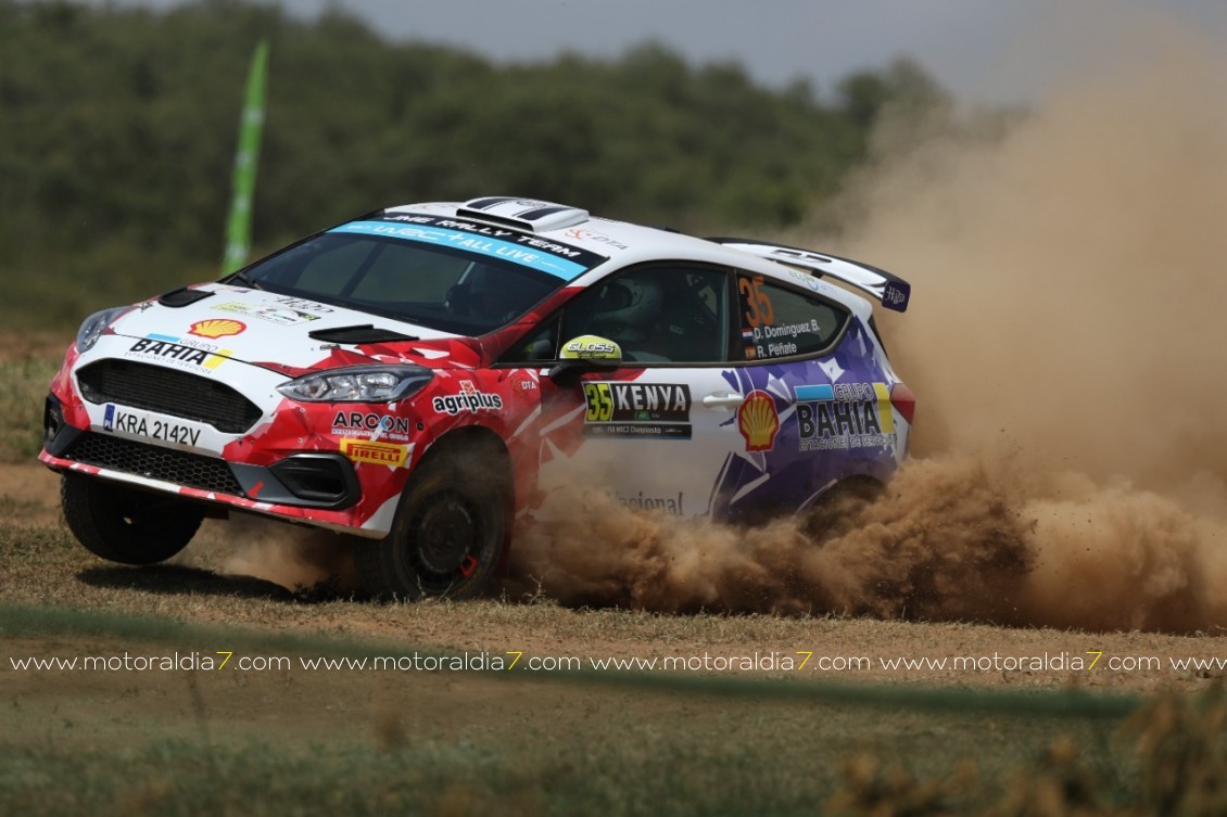 Rogelio Peñate suma su 33º Rally en el WRC