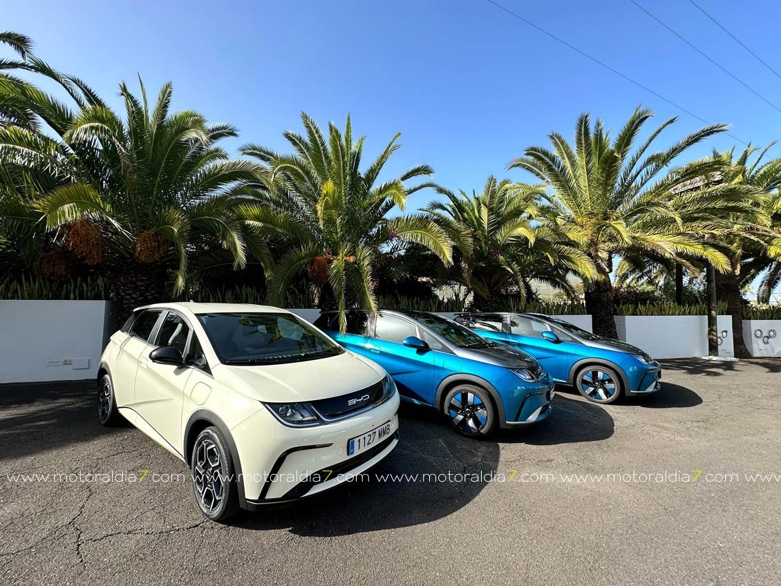 BYD Dolphin, Mejor Coche de Canarias