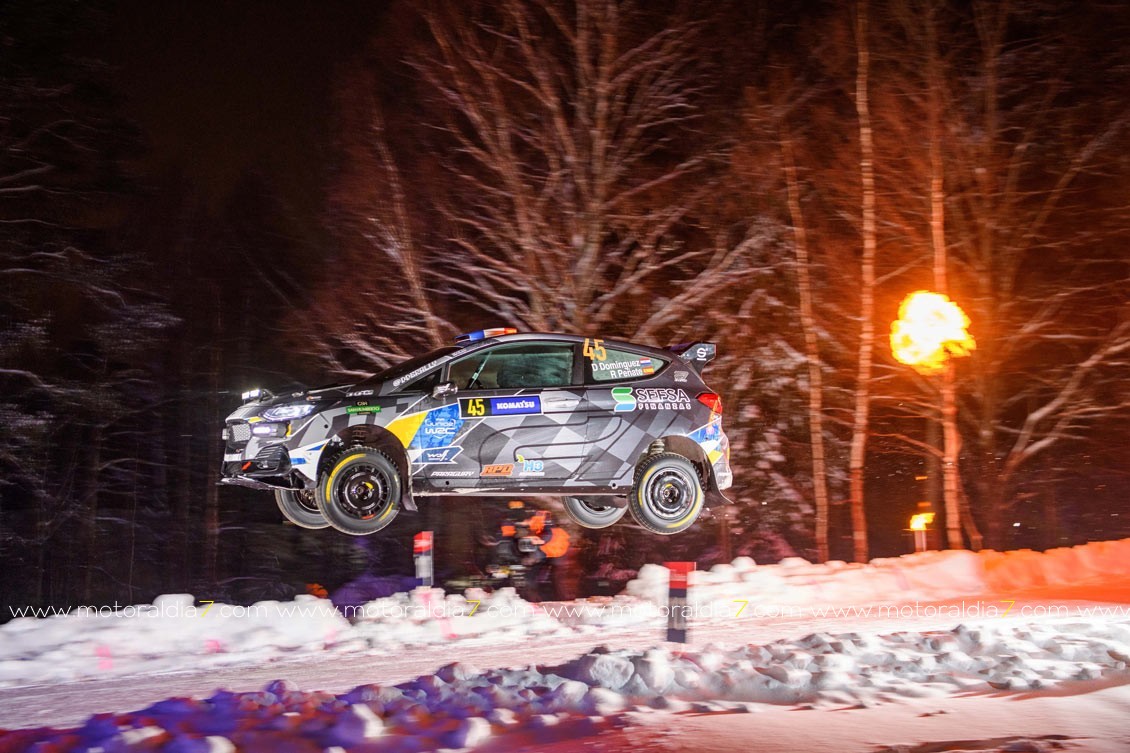 Un Rally de Suecia sin fortuna para Rogelio Peñate