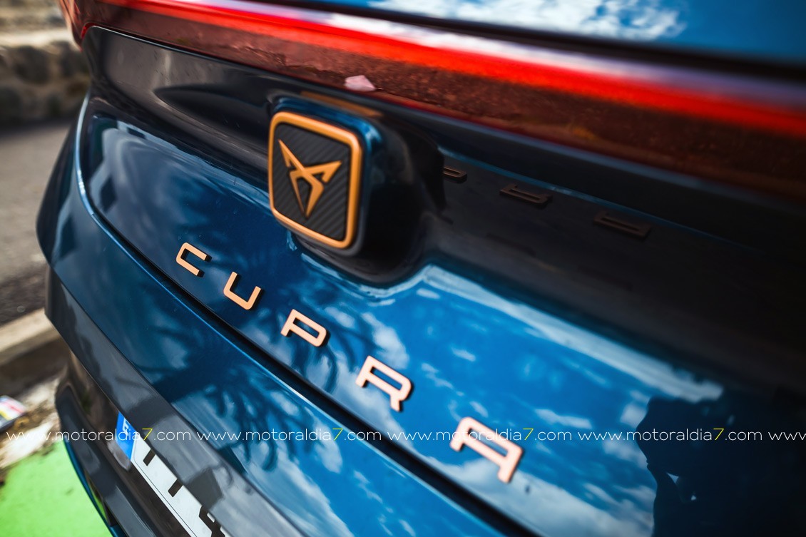 CUPRA Born, un modelo lleno de detalles