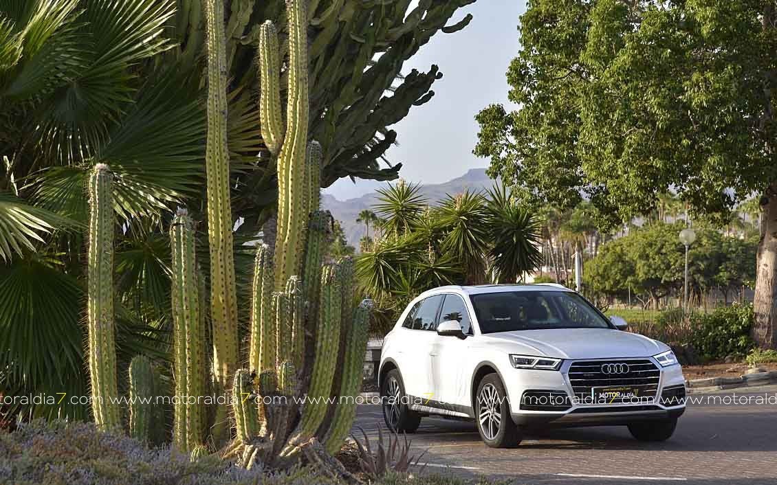 Audi Q5, para disfrutar con un SUV