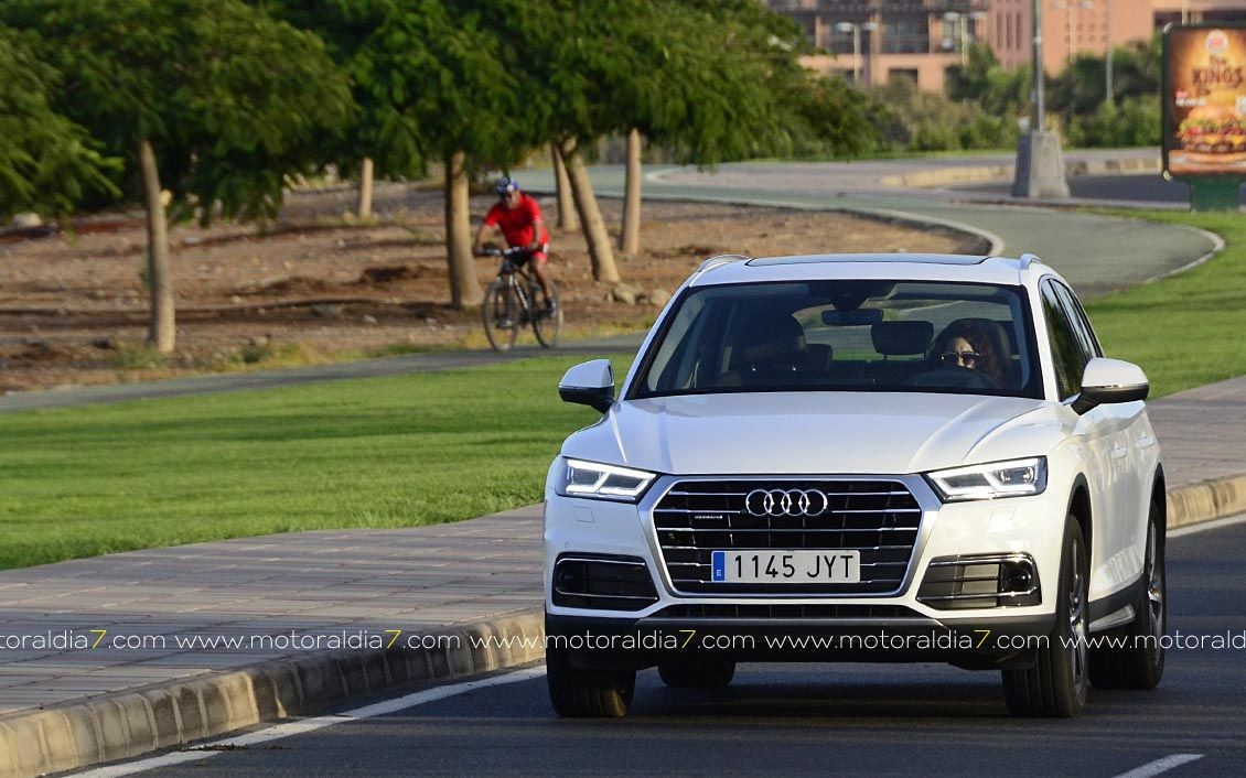 Audi Q5, para disfrutar con un SUV