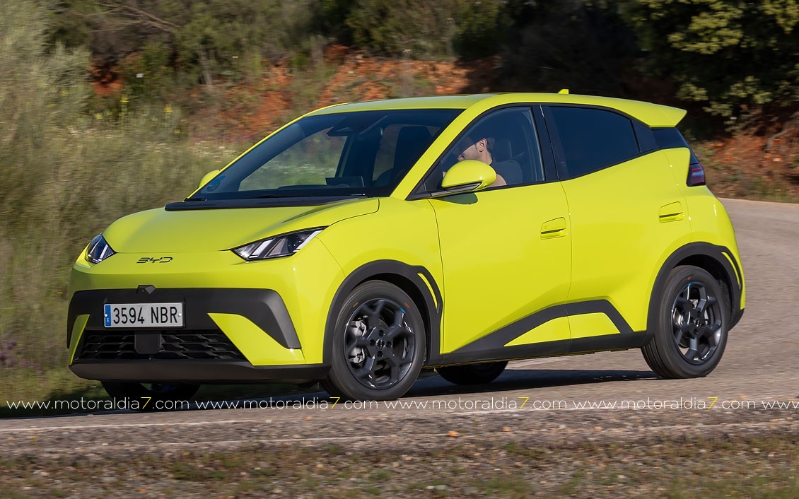 BYD Dolphin Surf, el eléctrico urbano definitivo