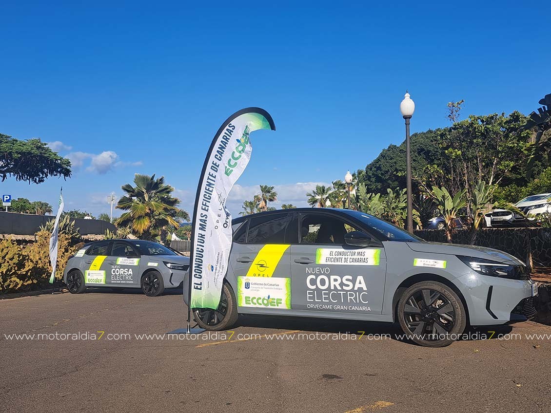 ECCOEF nuevo éxito de participación en Tenerife