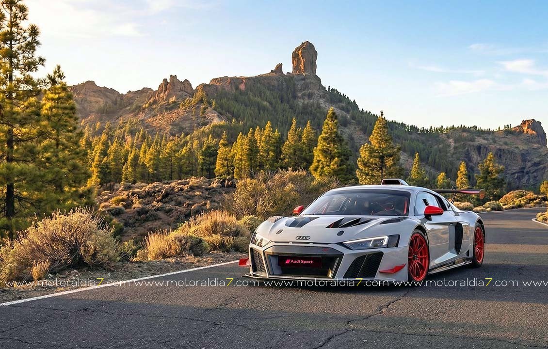 Audi Canarias, reafirma su liderazgo